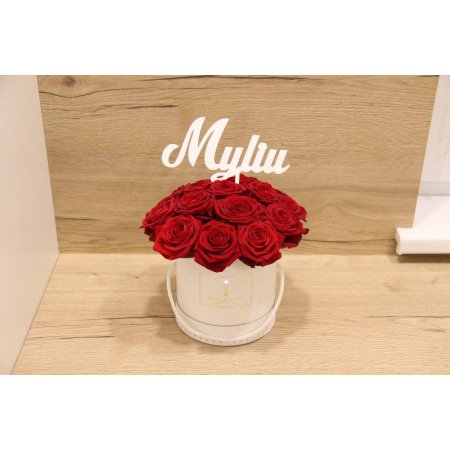 Smeigtukas - Pasiilgau